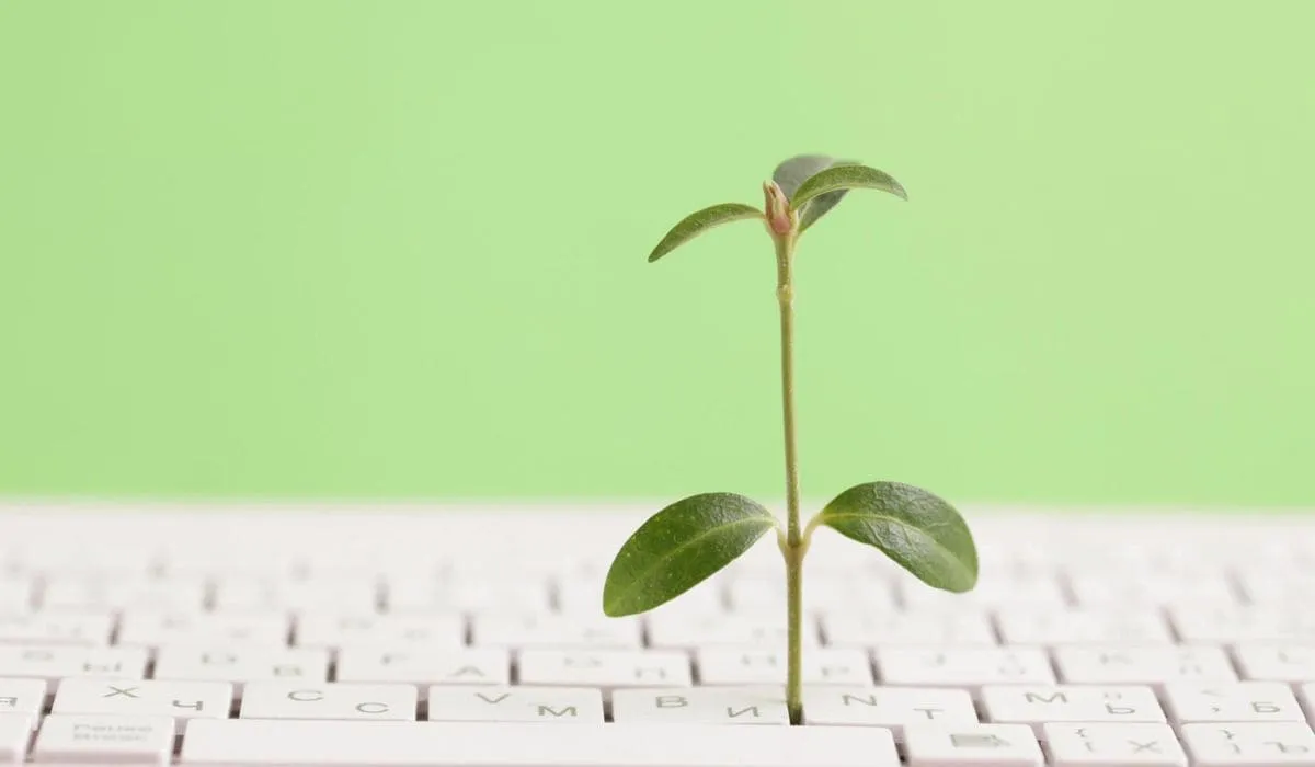 Illustration d’une pousse végétale au milieu d’un clavier.